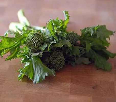 Broccoli raab, Rapini, Cima di Rapa-0
