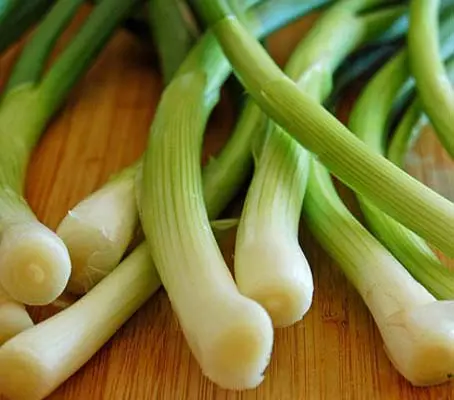 The White Lisbon is an old favorite and ever popular Spring Onion.