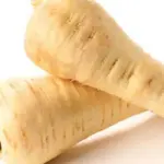 White Gem is highly recommended for use on all soils, with shorter roots than some other varieties and fine, white smooth skin.