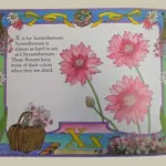 "The Flower Alphabet," by Jerry Pallott, illustrations by Leslie Evans. One of the few alphabet books that does not have a xylophone for X !