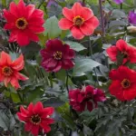 Bishop's Children is a warm-toned mix in shades of a tropical sunset.