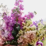 Matthiola Winter Mix Bouquet
