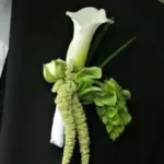 The colour complements any white flowers or purple-leaved plants.