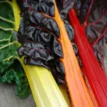 With more colours than Joseph’s Amazing Technicolour Dreamcoat, Bright Lights is one of the best looking vegetables around.