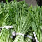 The young raw leaves can be used in salads or cooked as a vegetable like spinach.