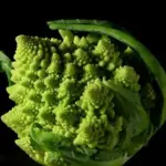 Cauliflower “Romanesco” has to be one of the most beautiful vegetables around - a true ‘Objet d'Art’.