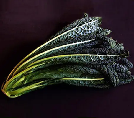 Until recently Cavolo Nero, or 'Tuscan Kale', was one of Italy's best kept secrets.