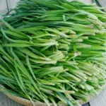 The plant has a distinctive growth habit with strap-shaped leaves unlike either onion or garlic.