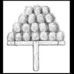 Dipsacus sativus fullonum-3569