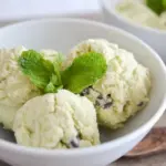 Mint and Chocolate Chip Ice Cream