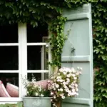 Parthenocissus tricuspidata veitchii 'Boston Ivy'-8104