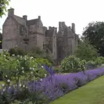 Plant it at the front of the border, edging a path, so that you can catch the full scent from its aromatic leaves.