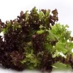 It is appreciated for its unique shape and refreshing taste. It holds well in summer heat and in the cold.