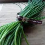Chives have a delicious, mild onion flavour.
