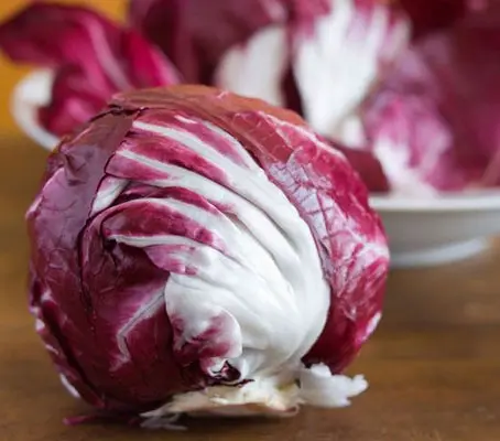 “Palla Rossa 3” from Chioggia in Italy, is a very reliable radicchio.