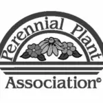 As to inflate this plant’s ego even further, it was selected by the Perennial Plant Association as the 1999 Perennial Plant of the Year.