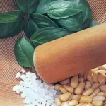 Sweet Genovese is the classic Basil for Pesto.