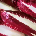 Highly prized, this flavoursome late variety is grown in the Treviso area in winter.