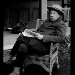 Originally raised in the 1880's by the Rev. W. Wilks (1843-1923) in his garden in Shirley near Croydon in Surrey