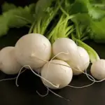 Turnip Snowball. With pure white flesh as its name suggests, Snowball is superb for both table and exhibition.