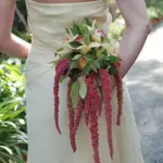 Good in the border they are also most effective as a cut flower in arrangements.