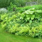 This most valuable cooling green-yellow is a superb companion to almost all colours