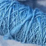 Isatis tinctoria 'Woad'-1627