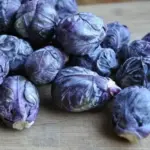 It offers smaller yields of dark red sprouts, but has a milder, delicate, nuttier flavour than standard green types.