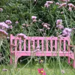 The plant has an airy, see through look to it, so it can be put in the foreground of a border despite its height.