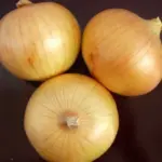 Ailsa Craig is much loved by both home gardeners and exhibitors.