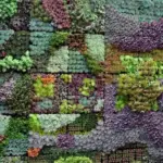 They are also wonderful components for vertical walls.