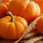 Rated the best miniature pumpkin ‘Munchkin’ is only 10 to 12cm (3 to 4in) wide.