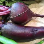 A regular Globe Beetroot above and a Cylindra Beetroot below.