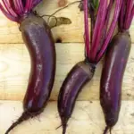 It can be spaced more closely together, making it productive in small spaces.