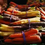 Cosmic Purple is a Danver's type carrot with 15 to 20cm (6 to 8in) long, sweet crunchy roots.