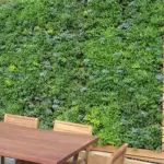 They are also wonderful components for vertical walls. Sedum strut their stuff where many other plants dare not venture!