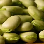 Super Aquadulce is highly prolific and easy to grow, and remains one of the most delicious in terms of flavour and texture.