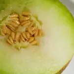 The flesh is the cool-green of a glacial lake.