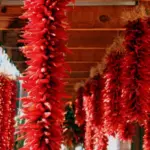 They are often be threaded on string and dried as a colourful ornament.