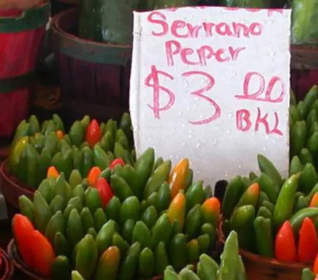 The Serrano, meaning 'from the mountains', is native to Mexico and south-west America.