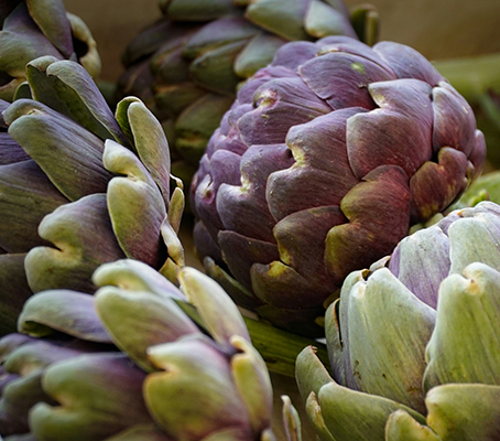 Artichoke Violet de Provence