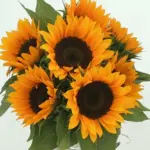 It will help you take one step further toward beautifying your corner of the planet.