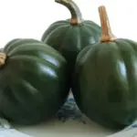 Winter Squash 'Honey Bear' is one of the sweetest varieties currently available.