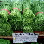 Minutina, 'Erba Stella'-7324