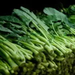 Harvested only 8 to 10 weeks from sowing, it is a nice change of pace from regular broccoli.