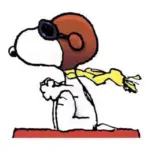 One of Snoopy's most famous alter-egos is as the World War I Flying Ace.