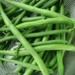Cobra is one of the most reliable French beans around. The stringless pods grow up to 20cm long.