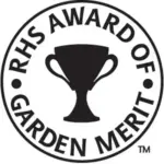 Lunaria annua var. alba has been awarded the Royal Horticultural Society’s Award of Garden Merit (AGM).