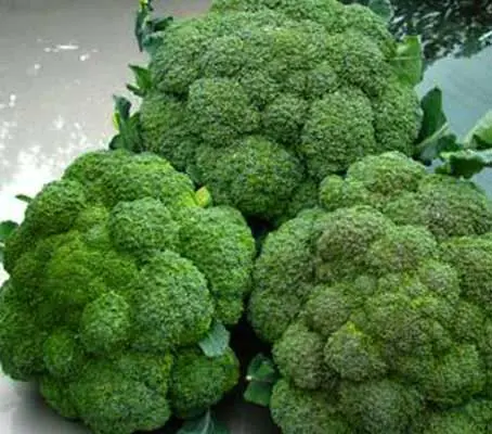 Ironman is a very popular variety with home and market gardeners and is the most widely grown commercial broccoli.