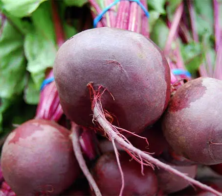 Beetroot 'Detroit 2 Crimson Globe'-0